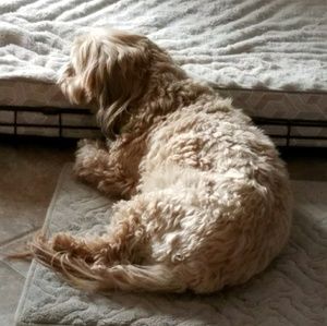 Meet your Posher, Benjamin